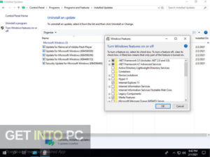 Windows 10 Enterprise JAN 2021 Offline Installer Download-GetintoPC.com.jpeg