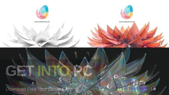 Flower bloom 3 Style logo reveal [AEP] Free Download