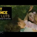 VideoHive-Sweet-Romance-LUTs-for-DaVinci-Resolve-CUBE-Free-Download-GetintoPC.com_.jpg