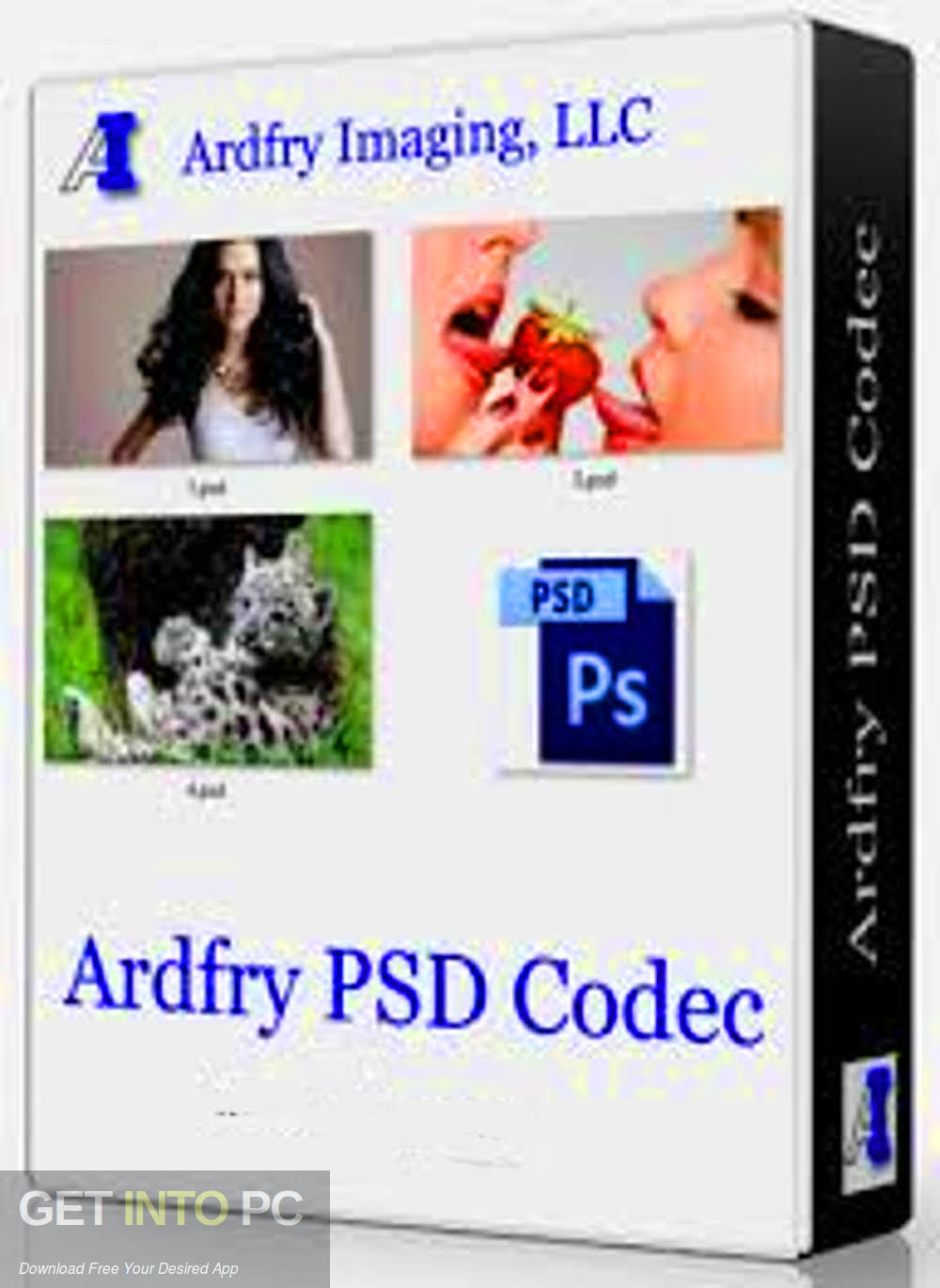 Ardfry PSD Codec Free Download-GetintoPC.com