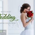 CreativeMarket - Wedding Video LUTs [CUBE] Free Download